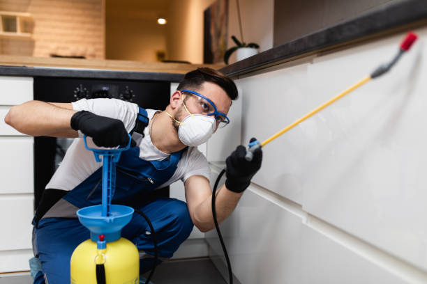 Best Termite Control Services  in Wescosville, PA