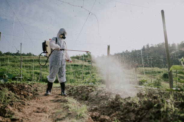 Best Best Pest Control Companies  in Wescosville, PA