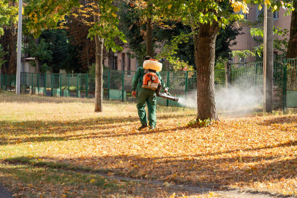 Best Emergency Pest Control  in Wescosville, PA